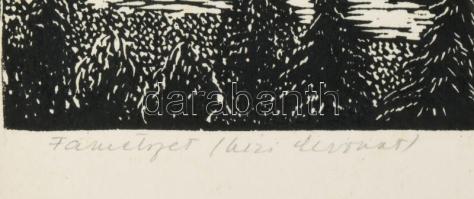 Olvashatatlan jelzéssel, erdélyi magyar grafikus: Városrészlet (Marosvásárhely?). Fametszet (kézi le...