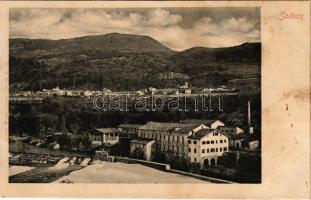 Solkan, Salcano; general view, dam. Atelier Weiss (Gorica) (fl)