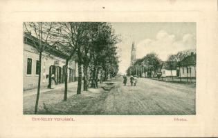 Vinga main street with the shop of Béla Bánk (pinhole)