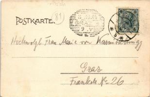 1904 Celje, Cilli; Burgruine von Süden / castle ruins. Verlag Fritz Rasch