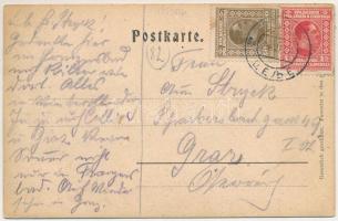 1926 Celje, Cilli; Ruine Ober-Cilli u. Villa Sanneck / castle ruins, villa. Fritz Rasch, Stengel &am...