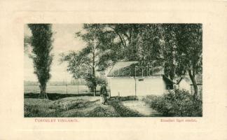 Vinga Erzsébet park