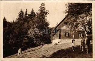 Pohorje, Bachergebirge, Bachern; Koca na Klopnem vrhu na Pohorju / tourist rest house (EB)