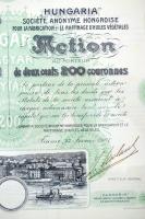 1907. Fiume "'Hungaria' Magyar Növényi Olaj-Gyár és Finomító Részvénytársaság" r...