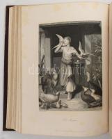 Payne, A.H.: Payne's Universum und Buch der Kunst. Neue Folge. Zweiter Band. 2. Abth. mit 51 Or...