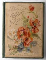 Hoffmann, Carl / Hoffmann, Julius: Carl Hoffmann s Botanischer Bilder-Atlas (Bilderatlas). Nach dem Natürlichen Pflanzensystem von De Candolle, Jussieu, Endlicher, Reichenbach u. A. - Zweite Auflage. Stuttgart, 1896. Verlag für Naturkunde XXXVIII 194 p. 459 növényképpel. Aranyozott egészvászon kötésben, illusztrált borítóval.