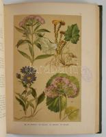 Hoffmann, Carl / Hoffmann, Julius: Carl Hoffmann s Botanischer Bilder-Atlas (Bilderatlas). Nach dem ...