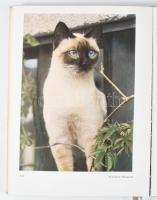 (2 Fényképészeti munka) Müller, Hugo: Die Misserfolge in der Photographie und die Mittel zu ihrer Be...