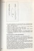 Galla Ferenc - Horváth István: 
Judo övvizsgák. (Galla Ferenc által dedikált példány.)
Budapest, 1...