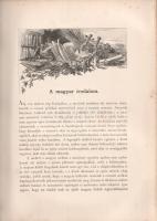 Az Osztrák-Magyar Monarchia írásban és képben: Magyarország III. kötete: Budapest és Fiume.
Budapes...