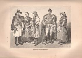 Az Osztrák-Magyar Monarchia írásban és képben: Magyarország VII. kötete: Erdély és a szomszédos hegy...