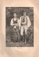 Az Osztrák-Magyar Monarchia írásban és képben: Magyarország VII. kötete: Erdély és a szomszédos hegy...