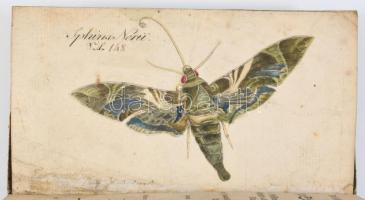 (Lepkegyűjtő könyve) Nagel, (Johann) Fr(iedrich) G(ottlieb): Vollständiges Hülfsbuch für Schmetterli...