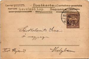 1901 1900-1901 Újévi üdvözlőlap / New Year greeting art postcard. litho (EK)