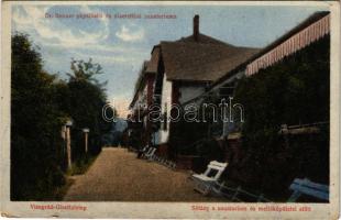 Visegrád, Gizella-telep, Dr Renner physikalis és diaetetikai szanatóriuma, sétány a szanatórium és m...