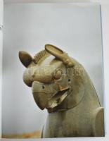 Ancient Civilizations The Middle East. The Cradle of Civilization Revealed. Chief Counsultant: Dr. S...