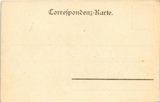 Frantiskovy Lázne, Franzensbad; Parkstrasse, Park Hotel. Hermann Poy / hotel, street (EK)