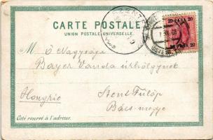 1905 Constantinople, Istanbul; Whirling dervishes, Constantinople, folklore (EM)