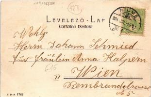 1904 Fiume, Rijeka; Palazzo Modello, Teatro Comunale e Mercato / square, drugstore, theatre, market ...