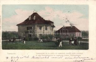 Temesvár Vadászerdő forestry school (former Hunting castle)