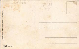 Csáktornya, Cakovec; Gróf Festetics utca, villa. Fischel Fülöp (Strausz Sándor) kiadása / street vie...