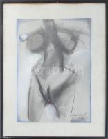Botár László (1959-), erdélyi festő: Női akt. Pasztell, papír, jelzett, üvegezett fakeretben, 50x36 ...