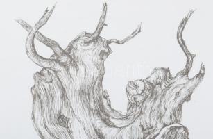 Olvashatatlan jelzéssel (.. Erzsébet): Fa. Rézkarc, papír, jelzett, számozott (22/100). Lap széle ki...