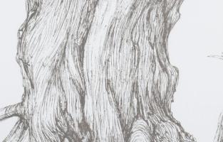 Olvashatatlan jelzéssel (.. Erzsébet): Fa. Rézkarc, papír, jelzett, számozott (22/100). Lap széle ki...