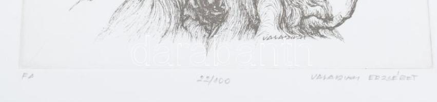 Olvashatatlan jelzéssel (.. Erzsébet): Fa. Rézkarc, papír, jelzett, számozott (22/100). Lap széle ki...