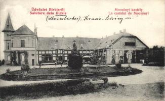 Birkis Mocsónyi castle