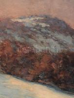 Keleti (Kelety) Gábor (1870-?): Hegyvidéki táj (Nagybánya környéke?). Olaj, karton. Jelezve jobbra l...