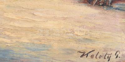 Keleti (Kelety) Gábor (1870-?): Hegyvidéki táj (Nagybánya környéke?). Olaj, karton. Jelezve jobbra l...