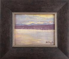 Bitay Árpád (1900-1935): Folyópart (Erdély). Olaj, karton. Jelezve jobbra lent. Dekoratív fakeretben...