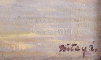 Bitay Árpád (1900-1935): Folyópart (Erdély). Olaj, karton. Jelezve jobbra lent. Dekoratív fakeretben...