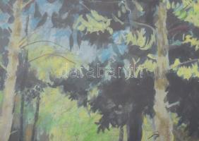 Weith László (1914-1973): Ligetrészlet. Gouache, papír. Jelezve jobbra lent. Dekoratív, faragott, üv...