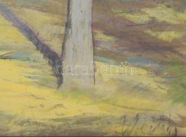 Weith László (1914-1973): Ligetrészlet. Gouache, papír. Jelezve jobbra lent. Dekoratív, faragott, üv...