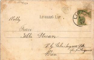 Lippa, Lipova; Solymosi vár. Konstantin Sándor kiadása / Cetatea Soimos / castle ruins (fl)