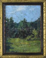 Lénárdt (?) jelzéssel (Lénárd Lévy Róbert?): Napfényes tisztás, 1930. Olaj, fa, jelzett. Dekoratív f...