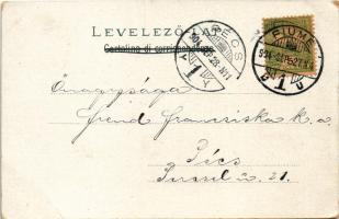 1904 Fiume, Rijeka; Governo Marittimo, Palazzo Adria. Mehner &amp; Maas / Government Maritime, A...