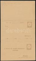1884 Háromrészes adóintéses használatlan levelezőlap (javított) / Unused printed matter (repaired)