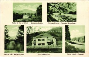 Dorna Candrenilor, Dornakandren, Dorna Kandreny, Bad Kandreny (Bukovina, Bucovina, Bukowina); Podul ...