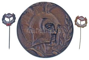 1969. Spartacust ábrázoló öntött bronz érem, hátoldalán gravírozással, tokban (70mm) + zománcozott &...