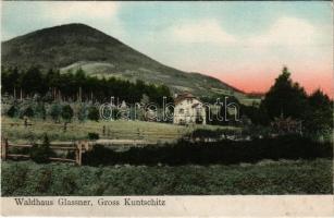 Konczyce Wielkie, Groß Kuntschitz; Waldhaus Glassner. Lichtdruck P. Leclerc / forestry house (EK)