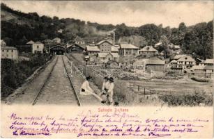 1902 Doftana (Telega), Salinele Doftana / salt mine, industrial railway (r)
