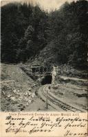 Curtea de Arges, Linia Forestiera, Muntii Arif, Tunelul / forest railway line, industrial railway, t...