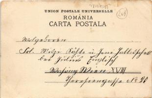 Curtea de Arges, Linia Forestiera, Muntii Arif, Tunelul / forest railway line, industrial railway, t...