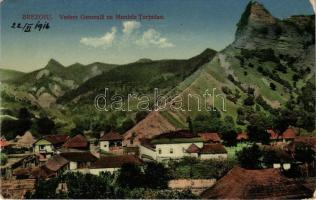1916 Brezoi, Brezoiu (Valcea); Vedere generala cu Muntele Turtudan / general view (EK)