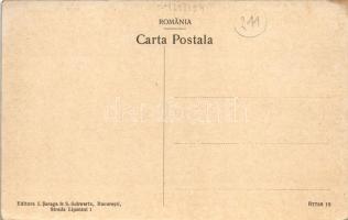 1916 Brezoi, Brezoiu (Valcea); Vedere generala cu Muntele Turtudan / general view (EK)