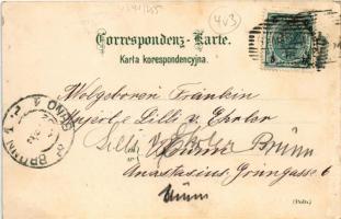 1908 Rymanów-Zdrój; view