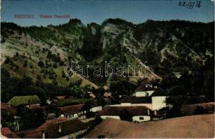 1916 Brezoi, Brezoiu (Valcea); Vedere generala / general view (EK)